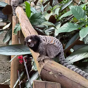Aldeia Niura Opy Casa de Férias Florianópolis